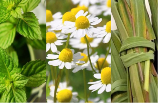 Omega 3 para la salud cardiovascular